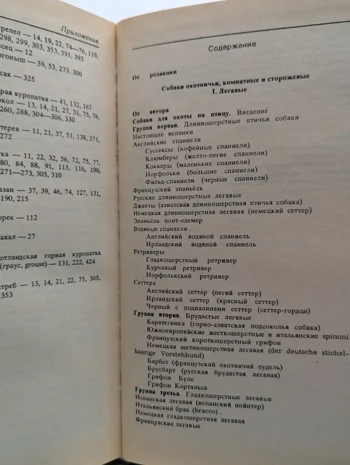 Собаки охотничьи. Легавые