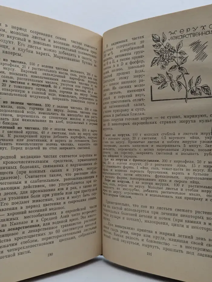 Родники здоровья