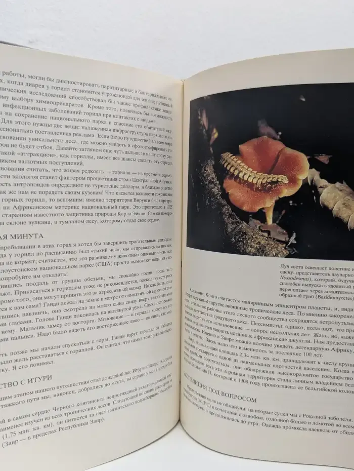 Легкие нашей планеты