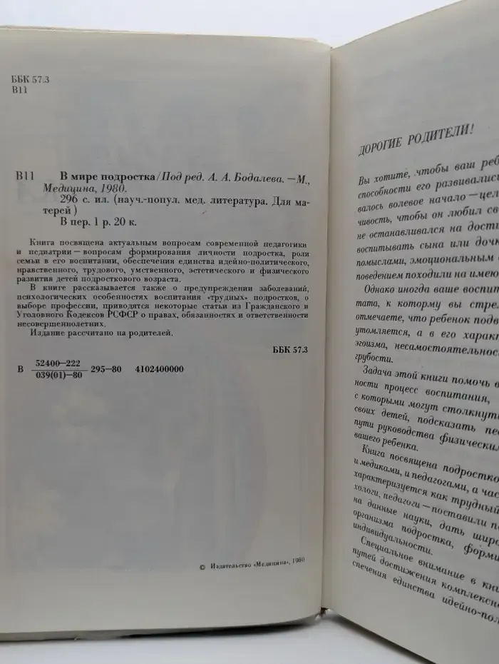 В мире подростка