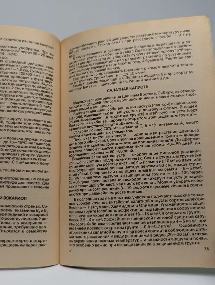 Витамины с грядки