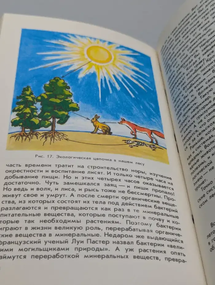 Экологический букварь для детей и взрослых