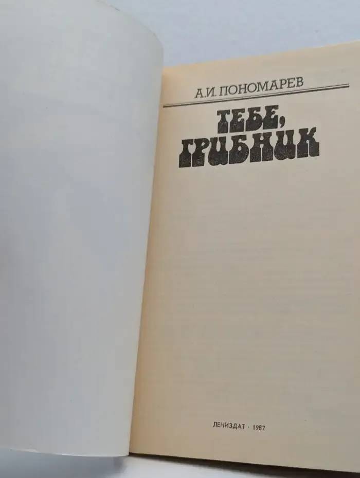Тебе, грибник