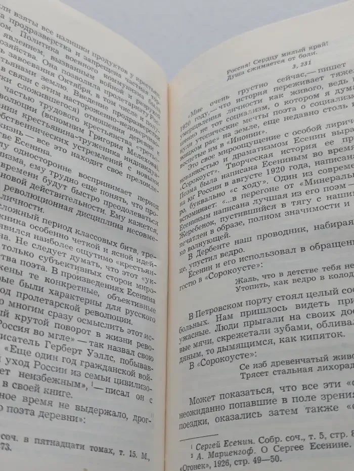 Сергей Есенин. Образ, стихи, эпоха