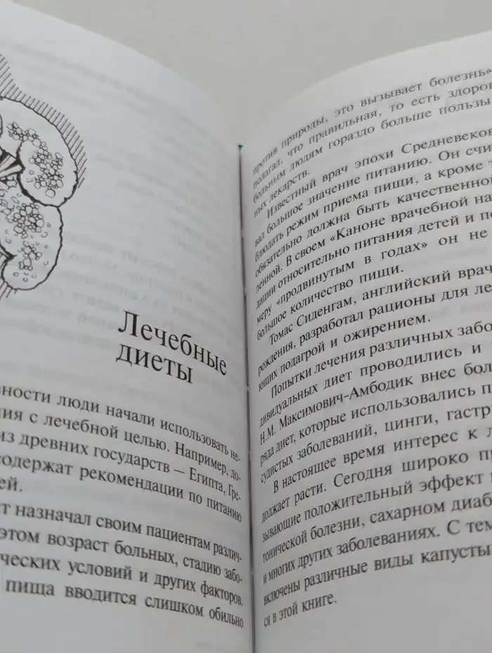 Капустная диета. 5 шагов к стройности