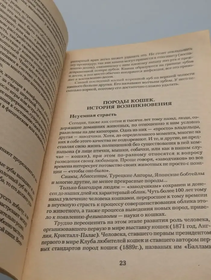 Длинношерстные кошки