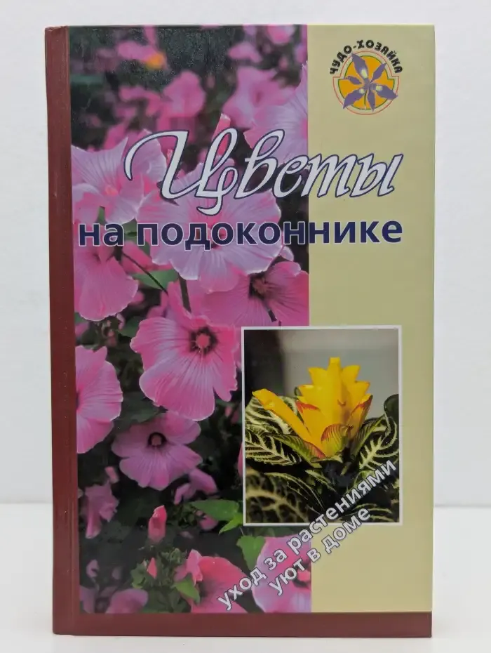 Цветы на подоконнике