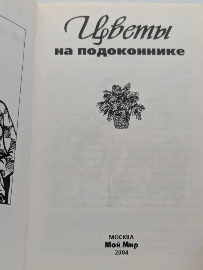 Цветы на подоконнике