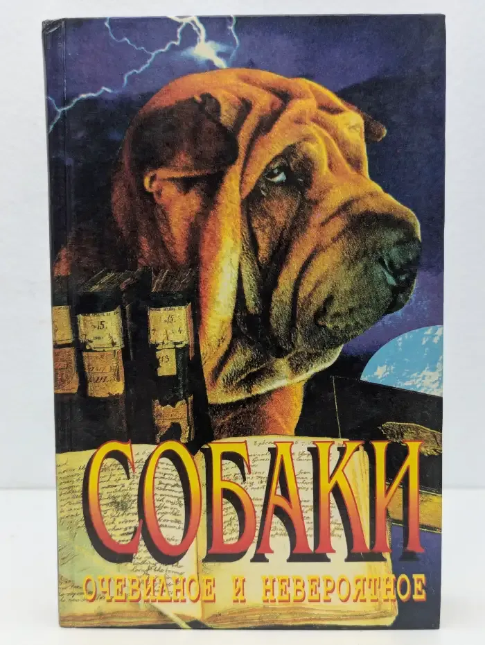 Собаки. Очевидное и невероятное