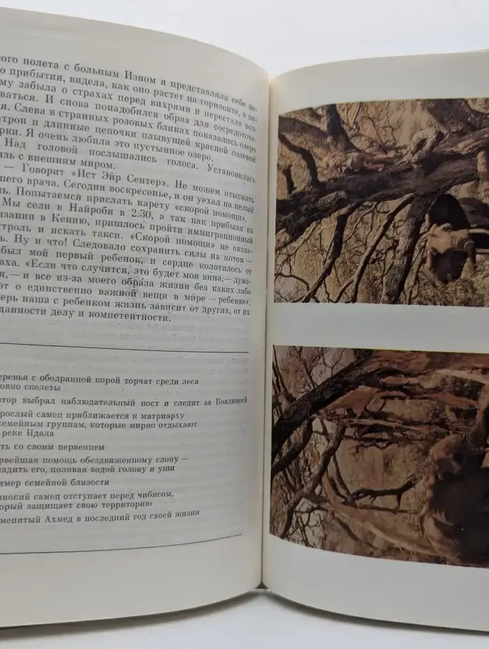 Жизнь среди слонов