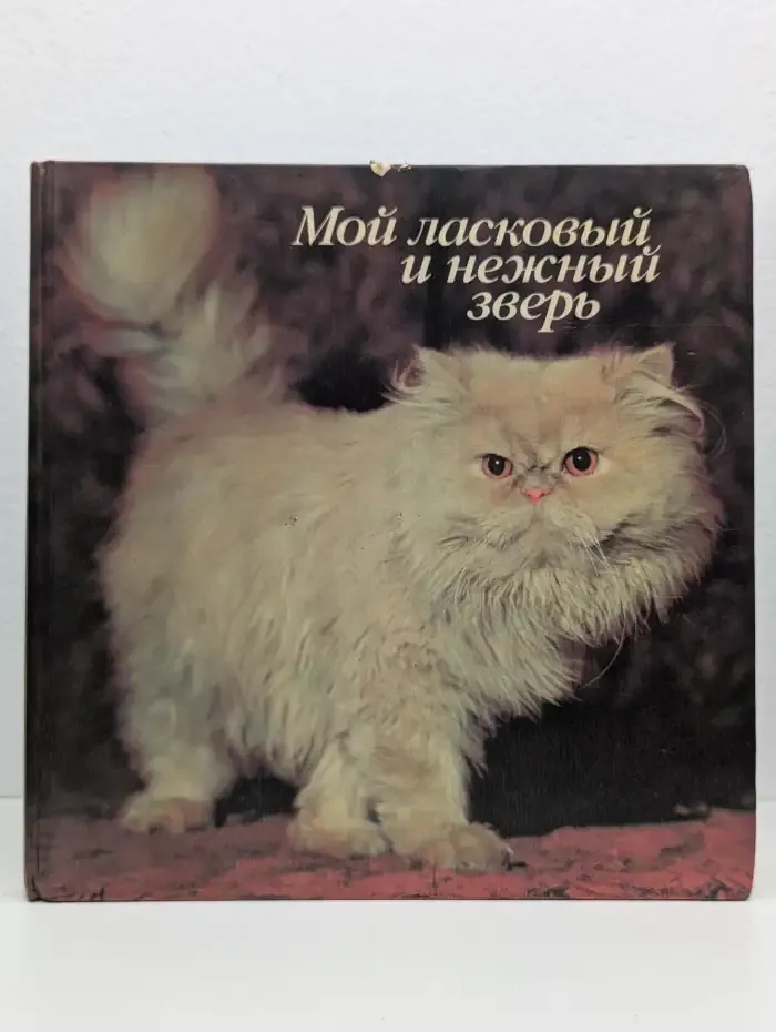 Мой ласковый и нежный зверь