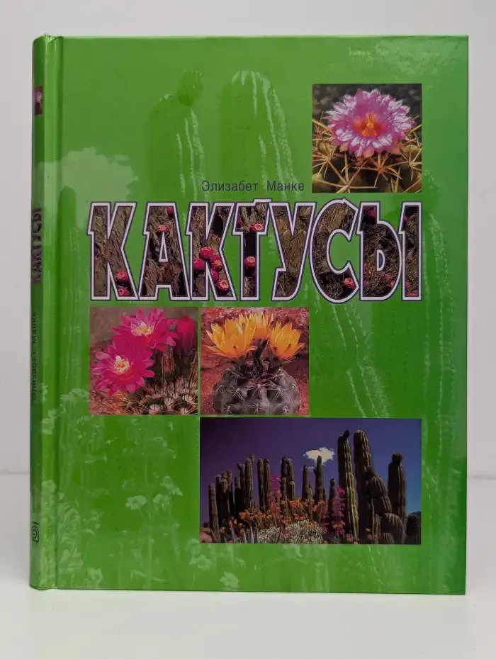 Кактусы