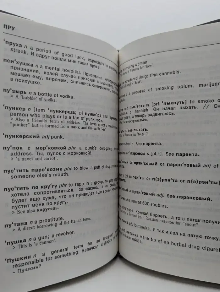 Dictionary of Contemporary Russian Slang