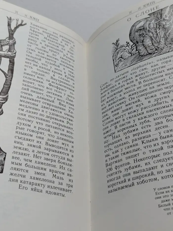 Сафари под Килиманджаро