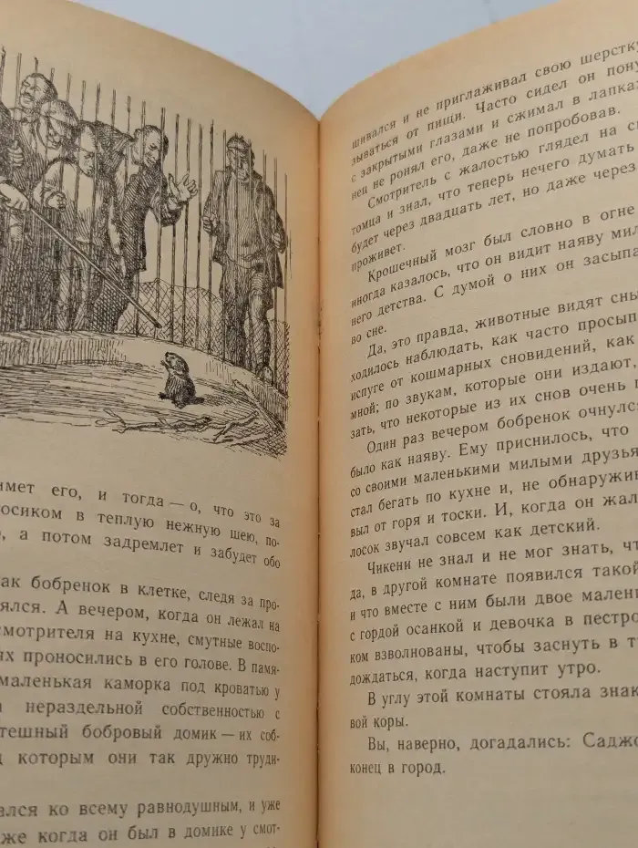 Саджо и ее бобры