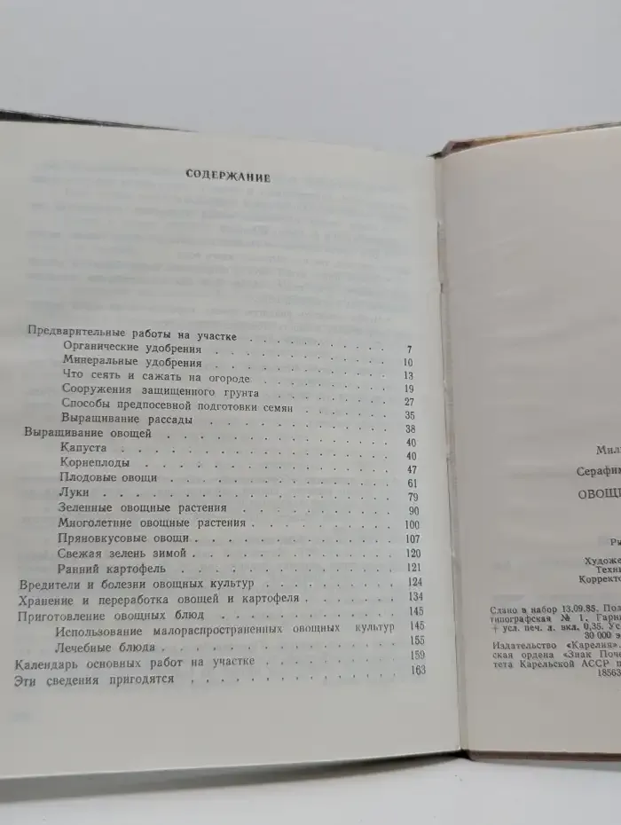 Овощи на грядке и на столе