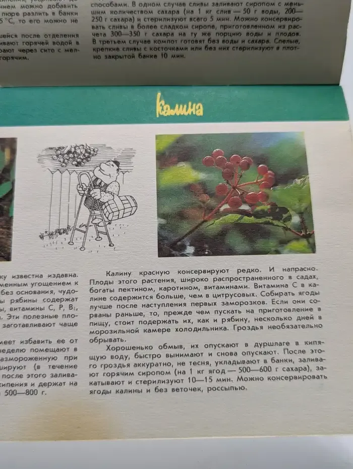 От грядки до стола