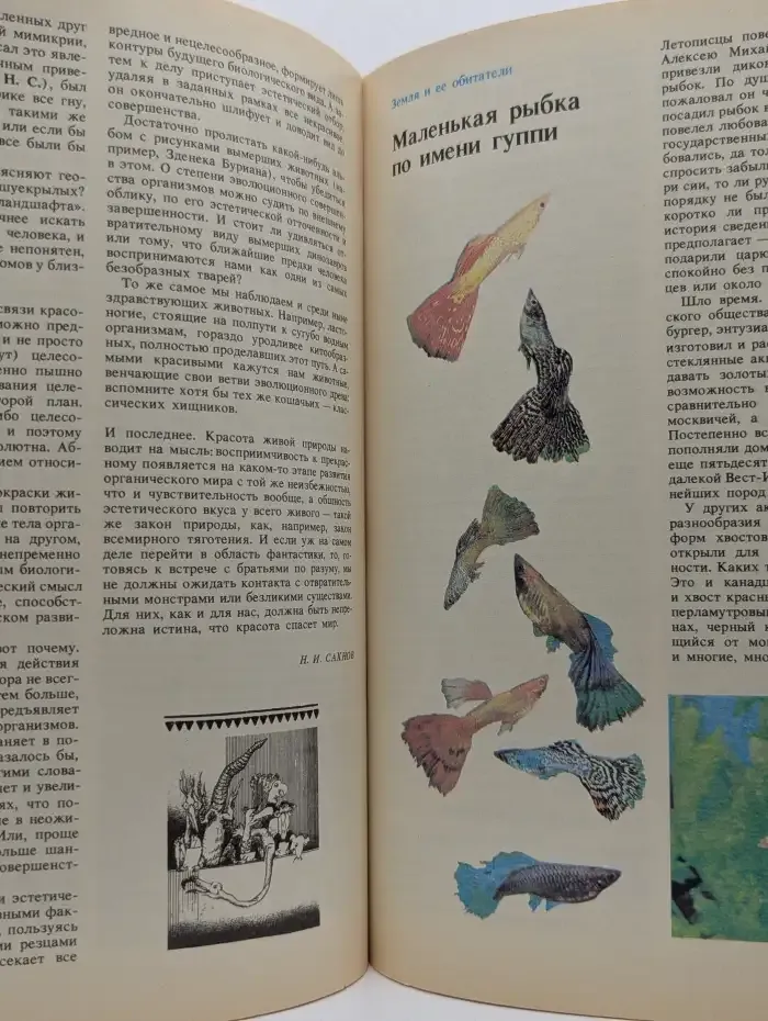 Химия и жизнь №12, 1990