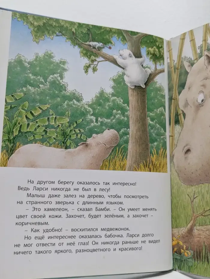 Приключение белого медвежонка