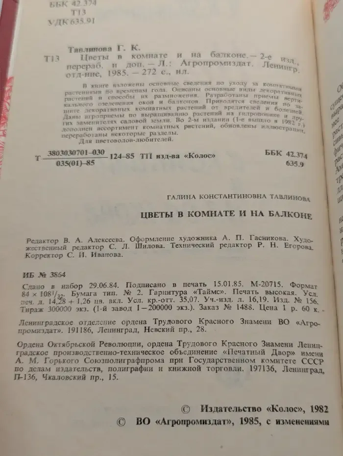 Цветы в комнате и на балконе