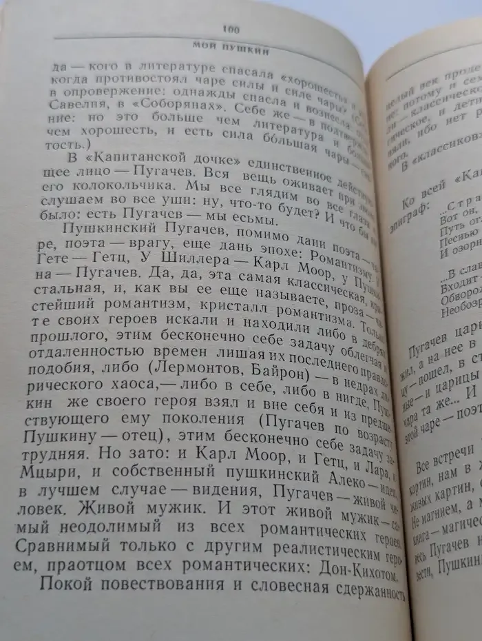 Мой Пушкин