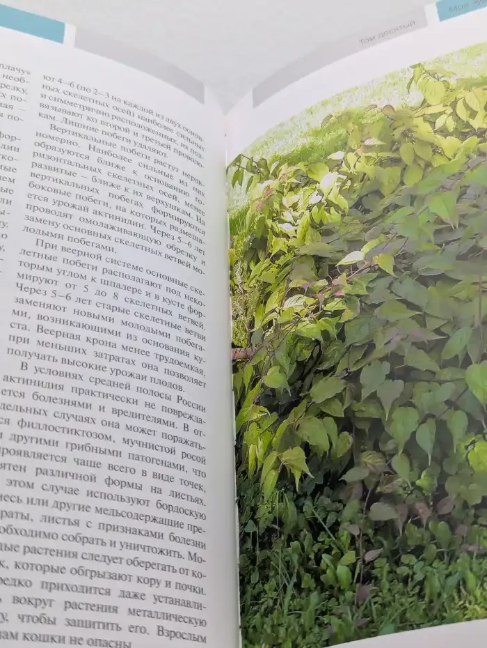 Редкие плодовые культуры. Том 10