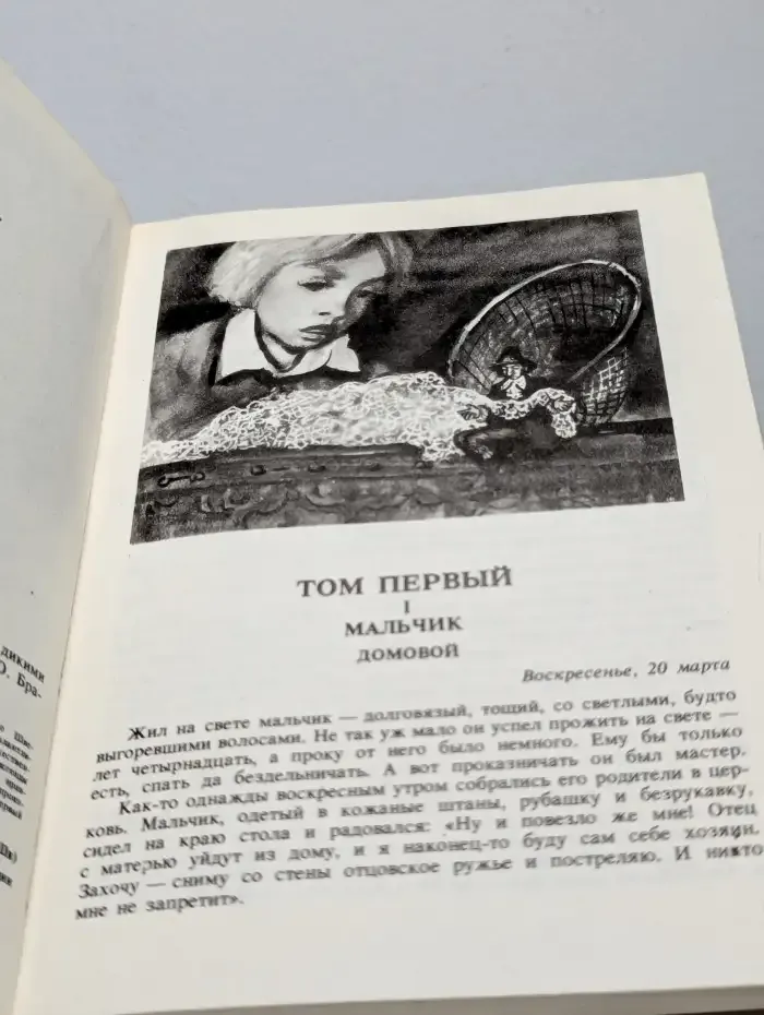 Удивительное путешествие Нильса Хольгерсона с дикими гусями по Швеции