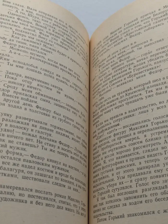 Мой старший брат