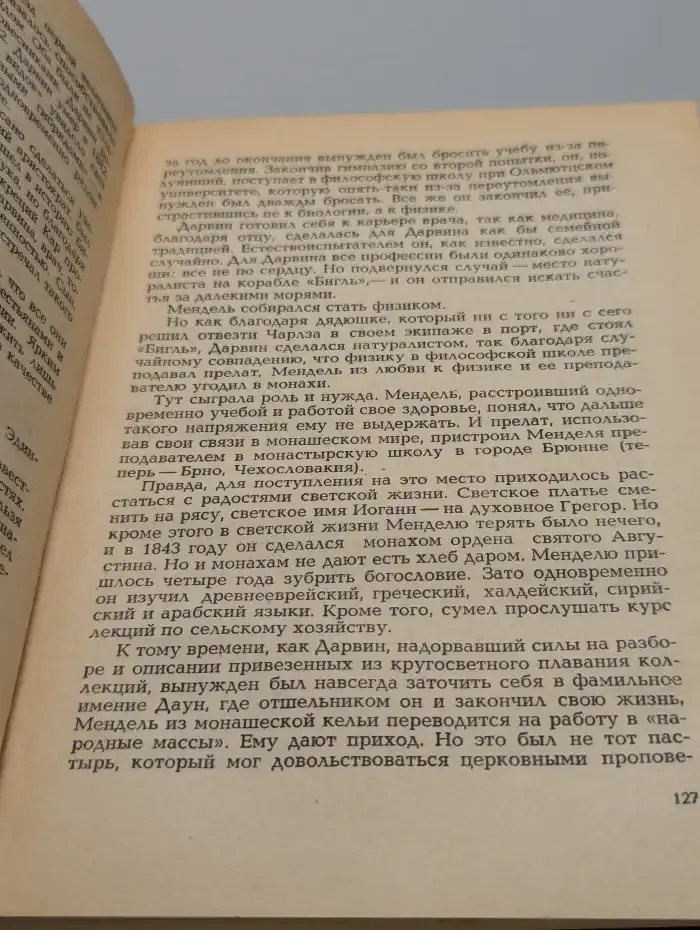 Мама, папа и я