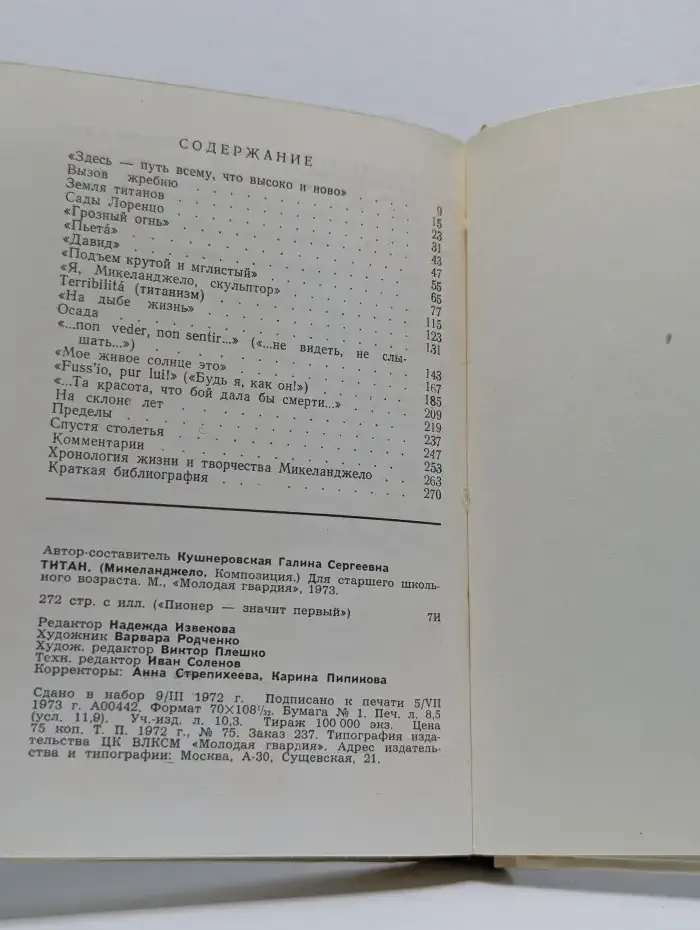Титан. Микеланджело. Композиция