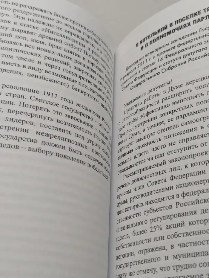 Выступления в думе