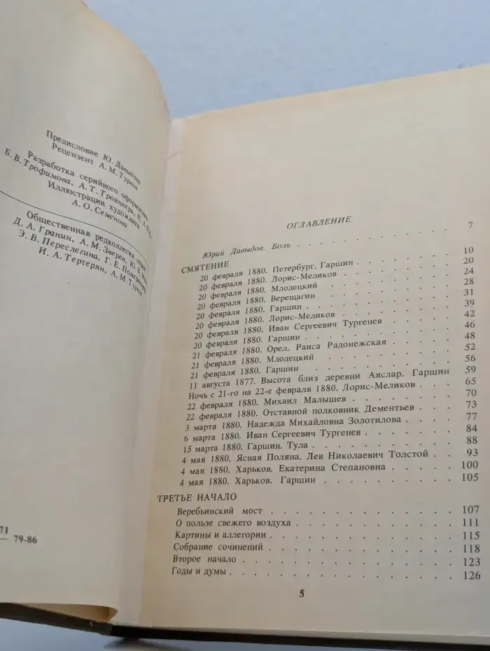 Грустный солдат, или Жизнь Всеволода Гаршина