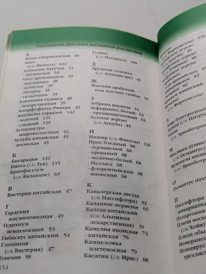 Комнатные растения. Целители в вашем доме