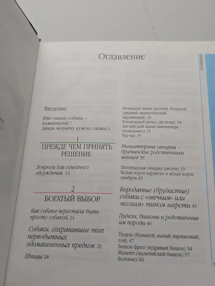 Собаки для дома и семьи