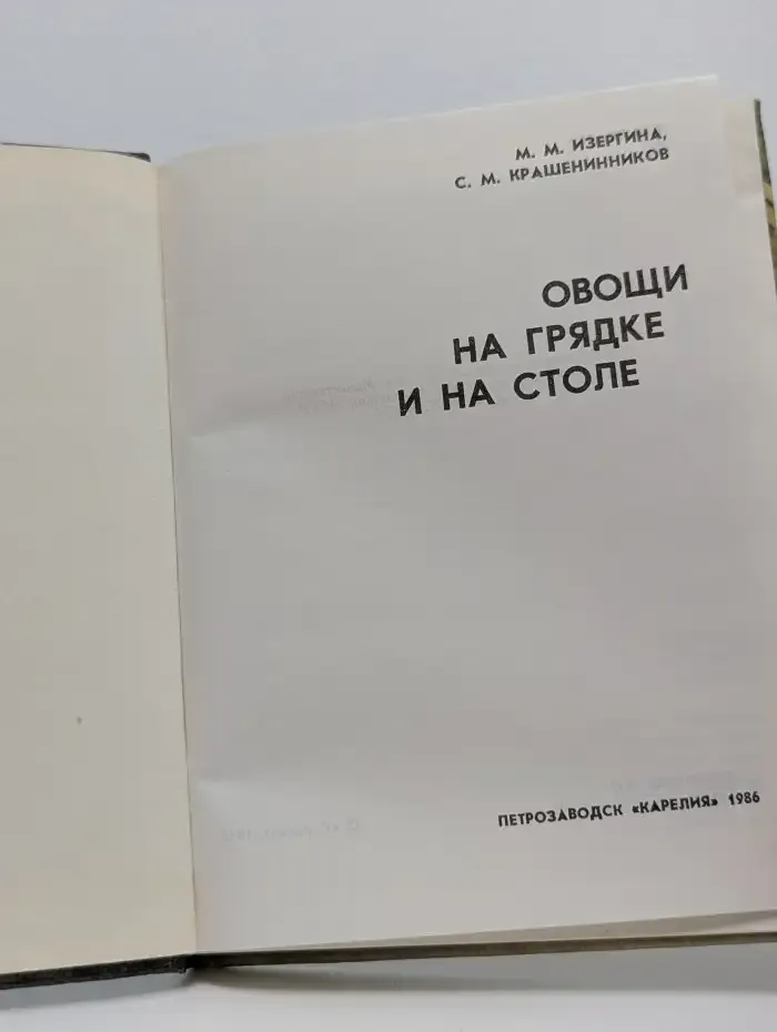 Овощи на грядке и на столе
