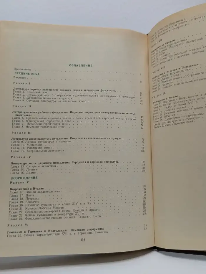 История зарубежной литературы. Средние века и Возрождение