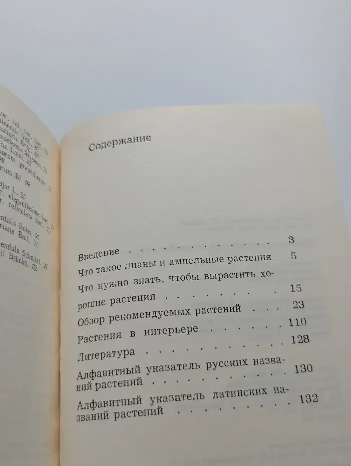 Лианы и ампельные растения для интерьера