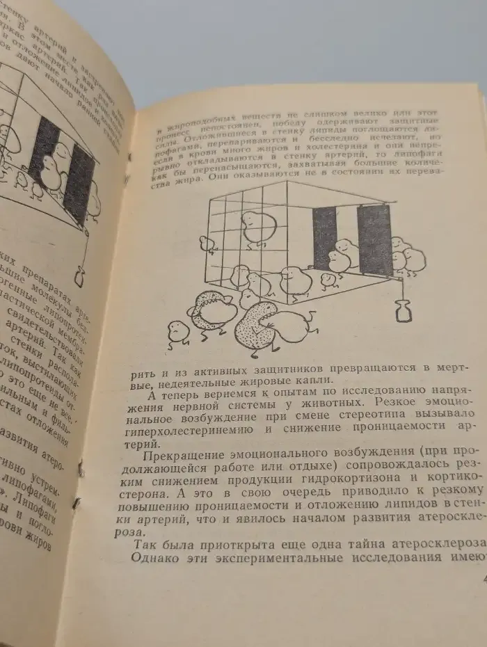 Эмоции, нервная система и атеросклероз