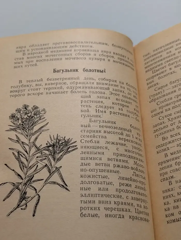 Аптека у нас дома