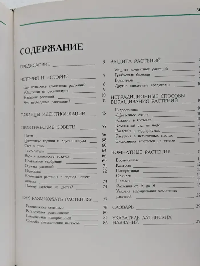 Цветы в нашем доме