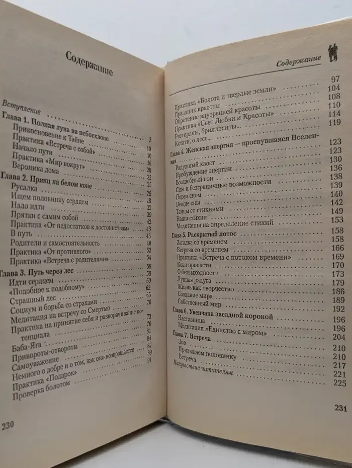 Я притягиваю свою половинку. Идеальный партнер