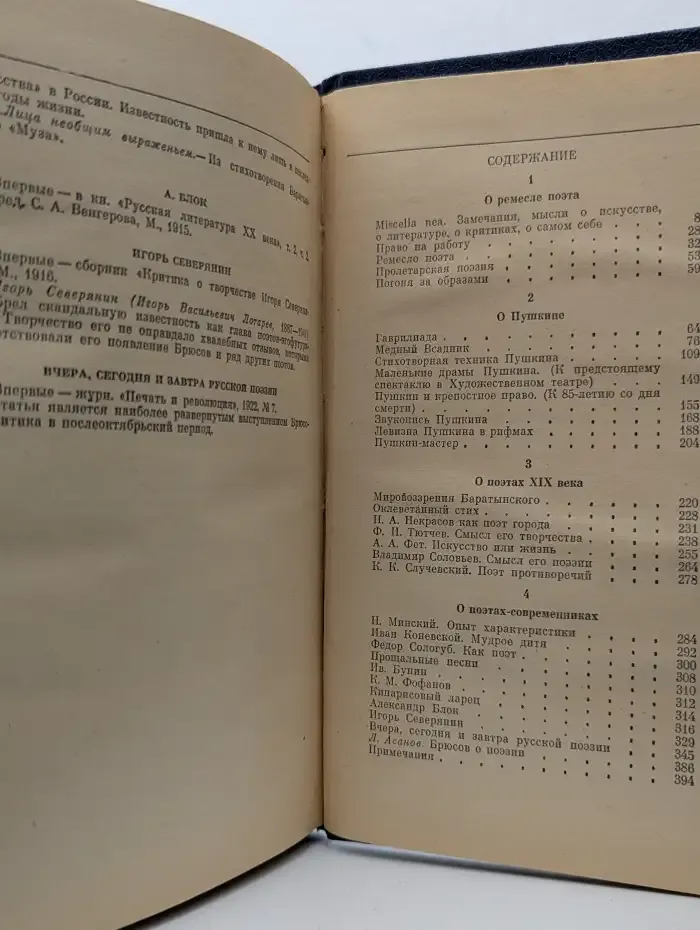 Ремесло поэта