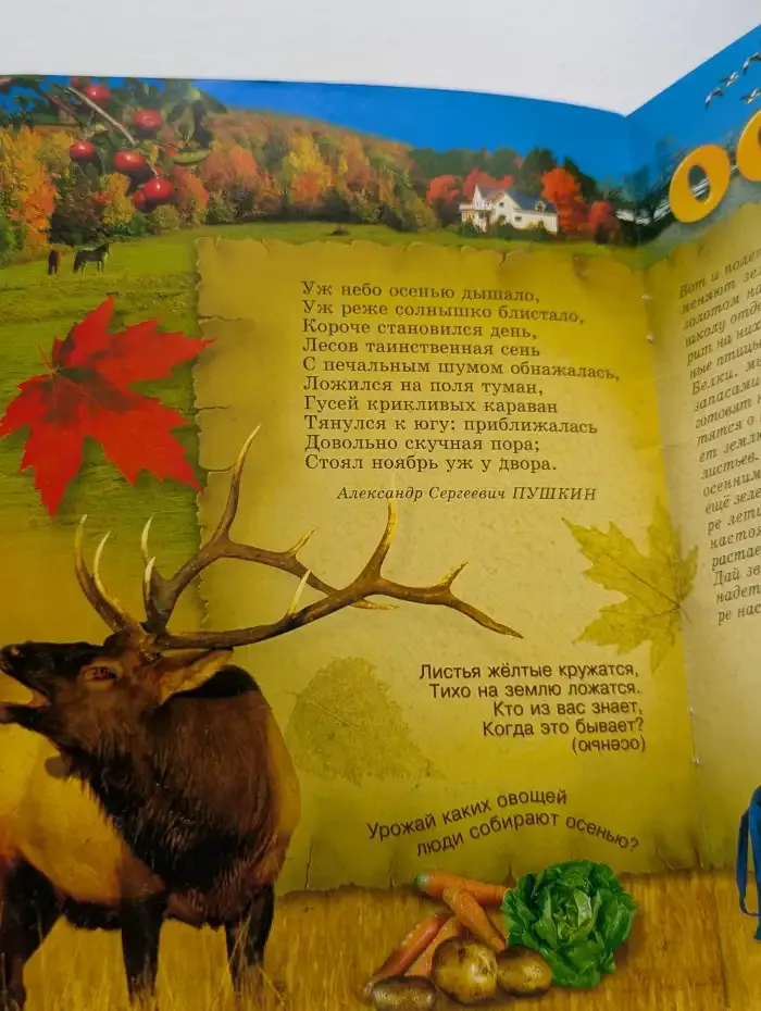 Времена года