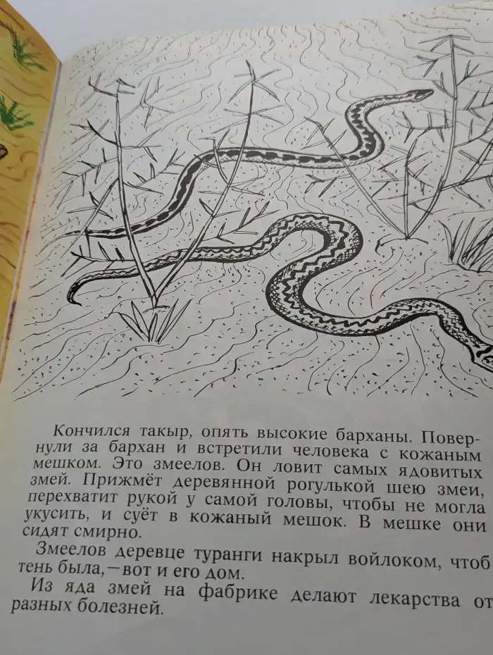 Караван