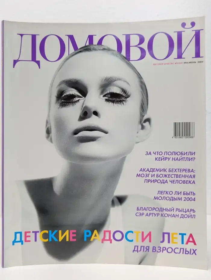 Домовой. Выпуск № 6/2004