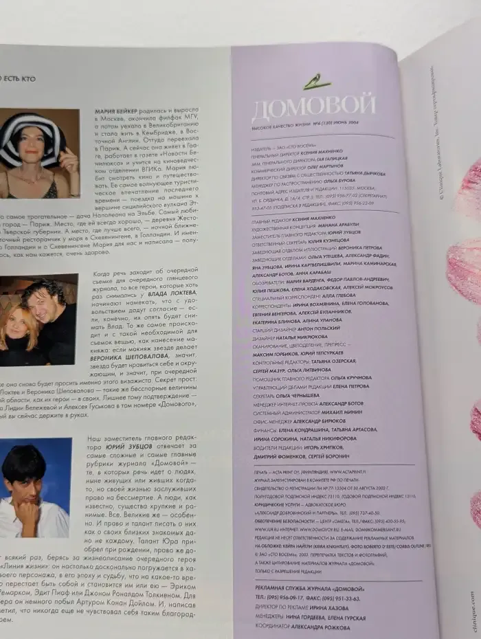 Домовой. Выпуск № 6/2004