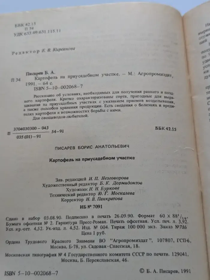 Картофель на приусадебном участке
