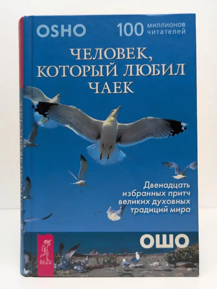 Человек, который любил чаек