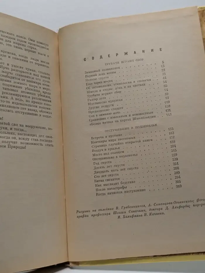 Шмели и термиты