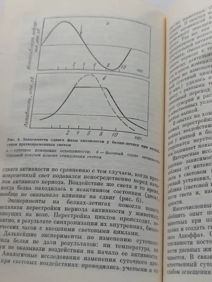 Биологические ритмы и сон
